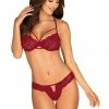Obsessive Ivetta Bra & Brief Underwired Bras