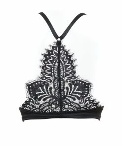 Prelude The Black Swan Push Up Bra Bras