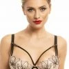 Prelude Greta Push Up Bra Bras