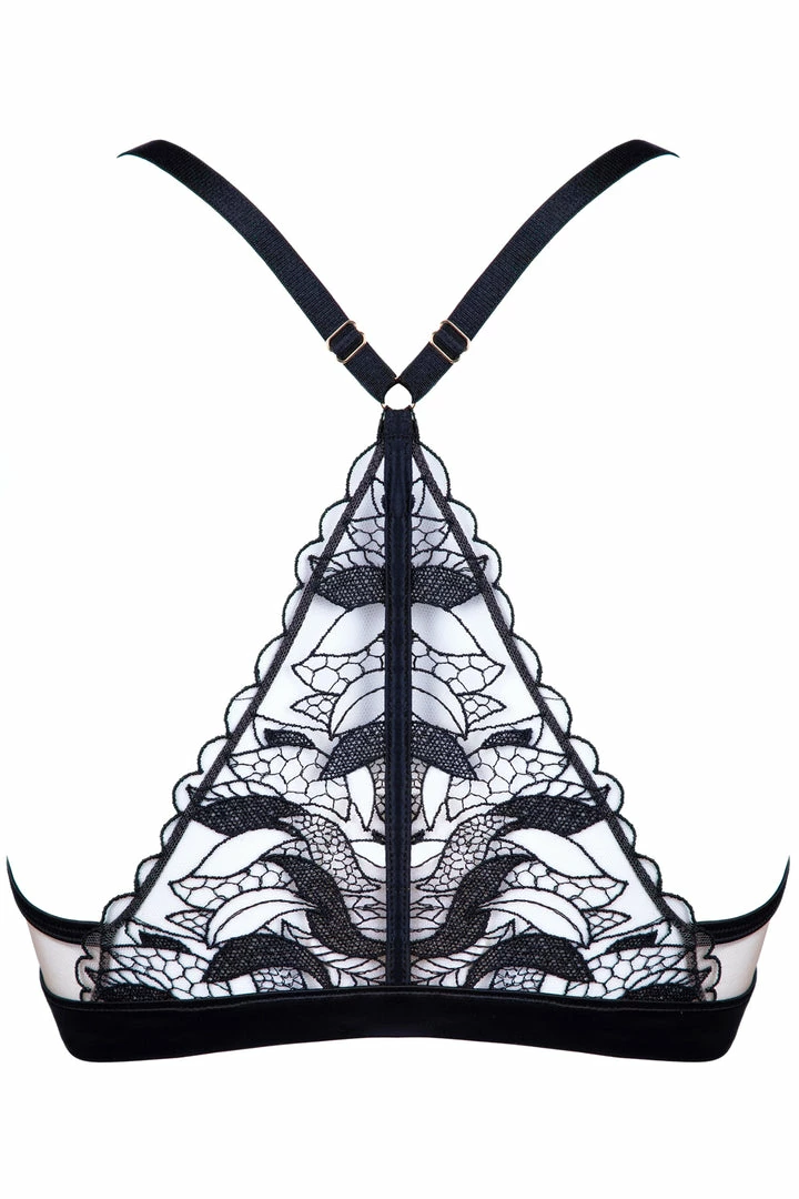 Prelude Bras Rita Push Up Bra 6 Prelude Bras Rita Push Up Bra